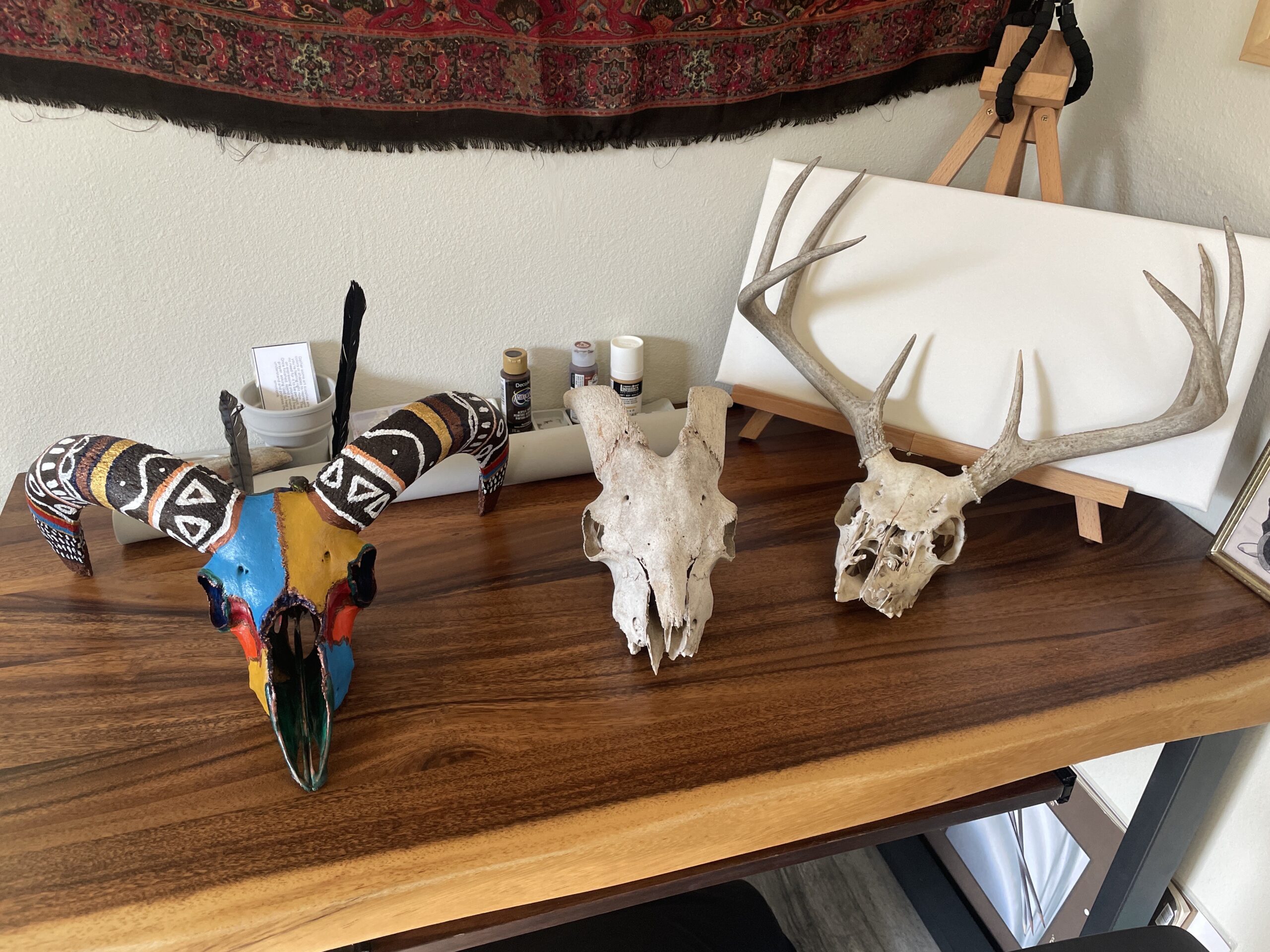 A painted Aoudad skull, unpainted goat skull, and unpainted deer skull sit on a desk