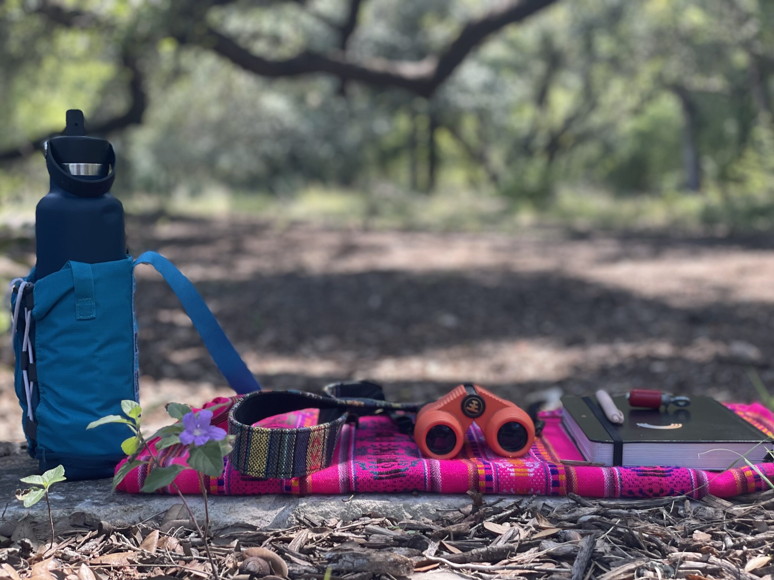 a pink blanket with a journal, binoculars and a water bottle placed on it. A big oak tree is in the background