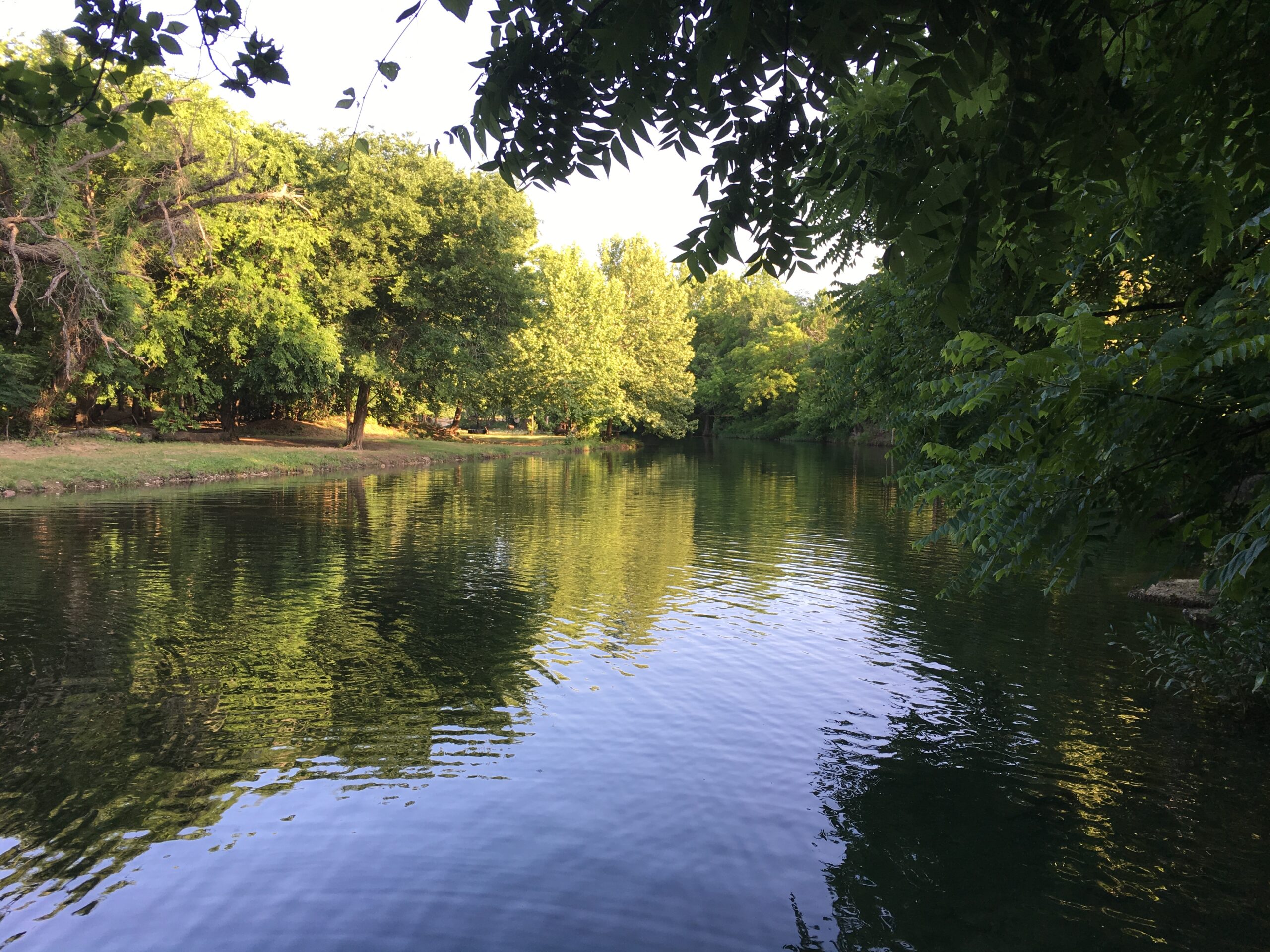 River with trees on both sides
