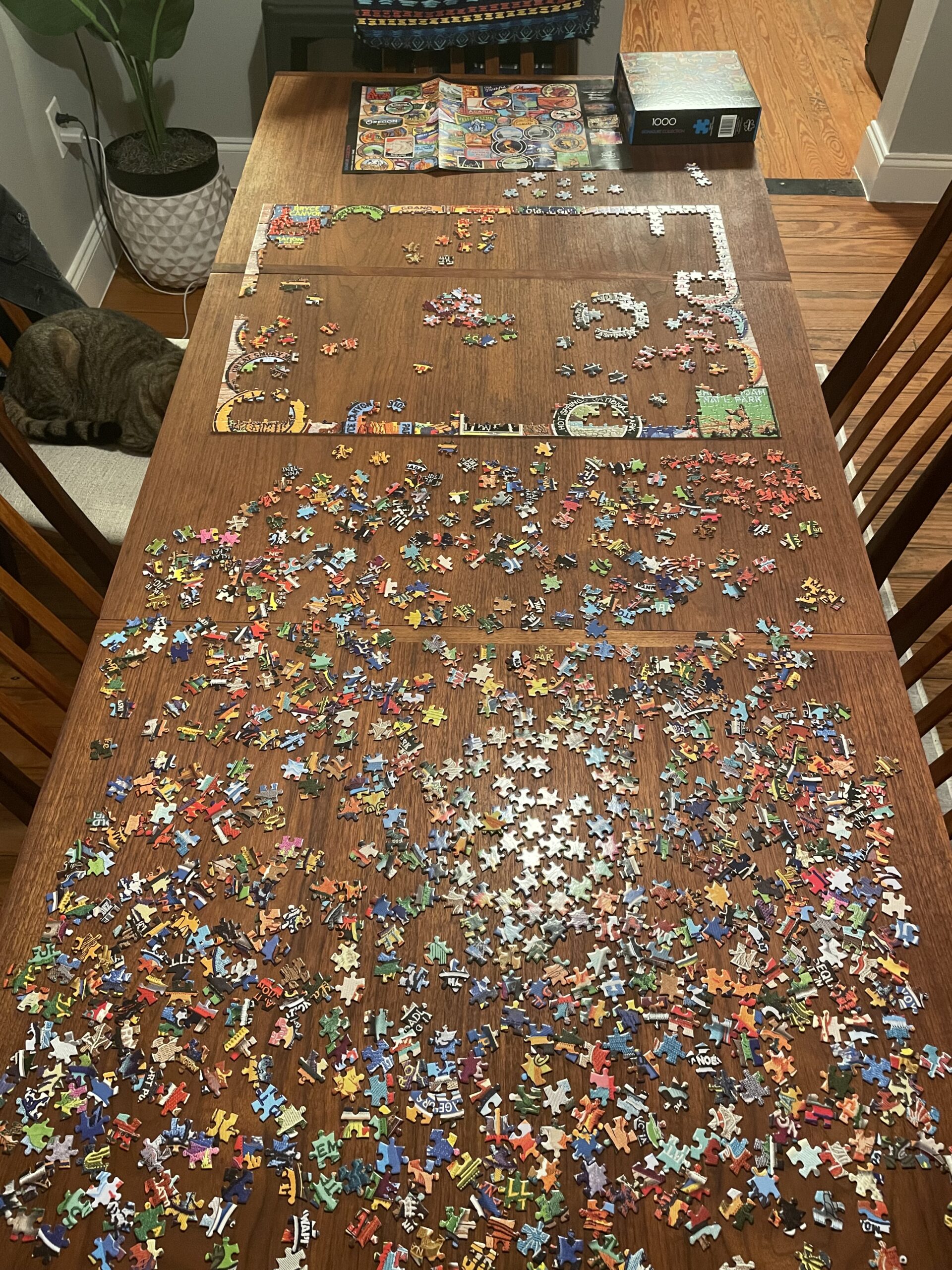 a large jigsaw puzzle, mostly unassembled. Pieces are spread out on a brown wooden table