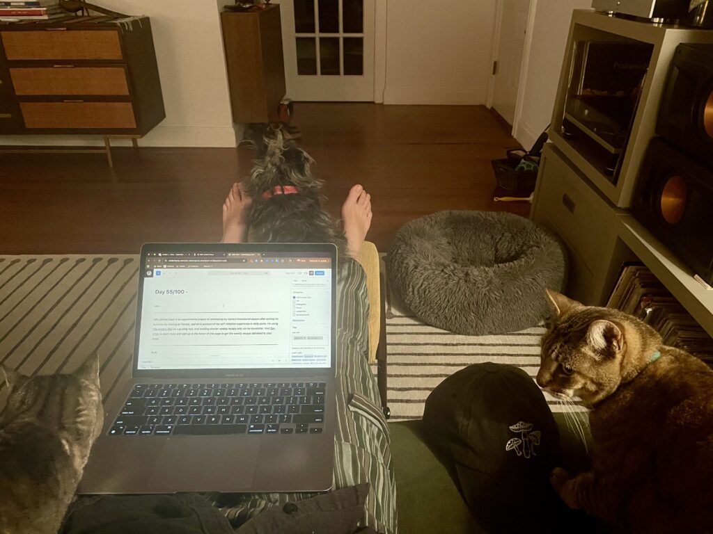 a laptop on a lap with a cat on the left and another on the right; a dog is at the feet behind the laptop