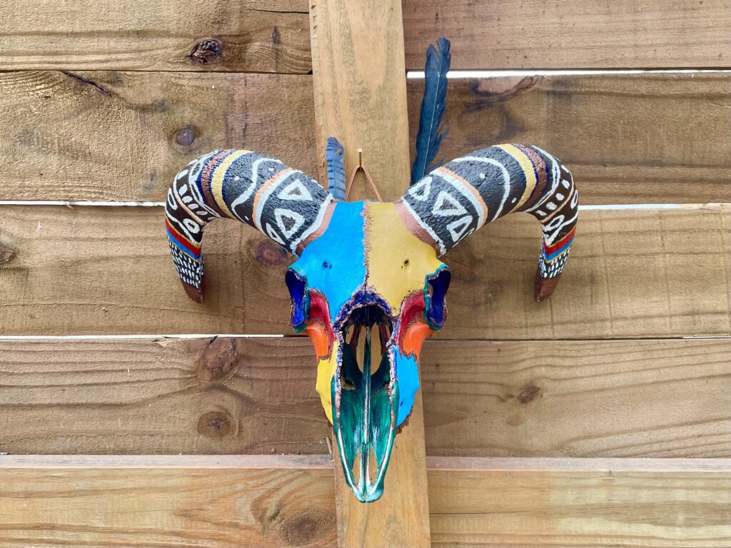 a tribal-looking, colorfully painted Aoudad skull with feathers attached
